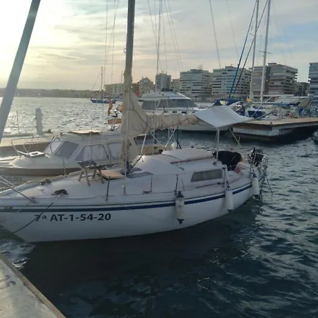 Papifrank Torrevieja