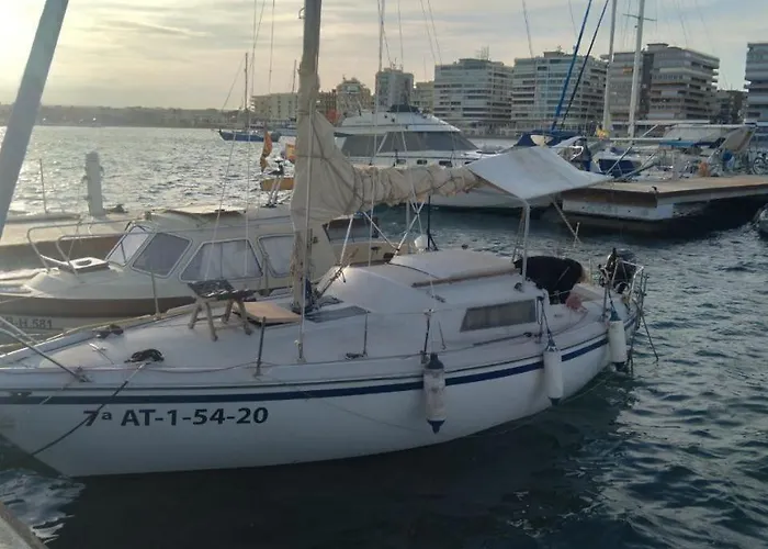 Papifrank Torrevieja